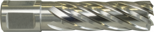 HSS PROFILINE Kernbohrer
