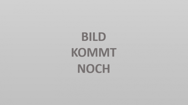 PROFILINE Führungsbohrer für HM-bestückte-Lochsägen